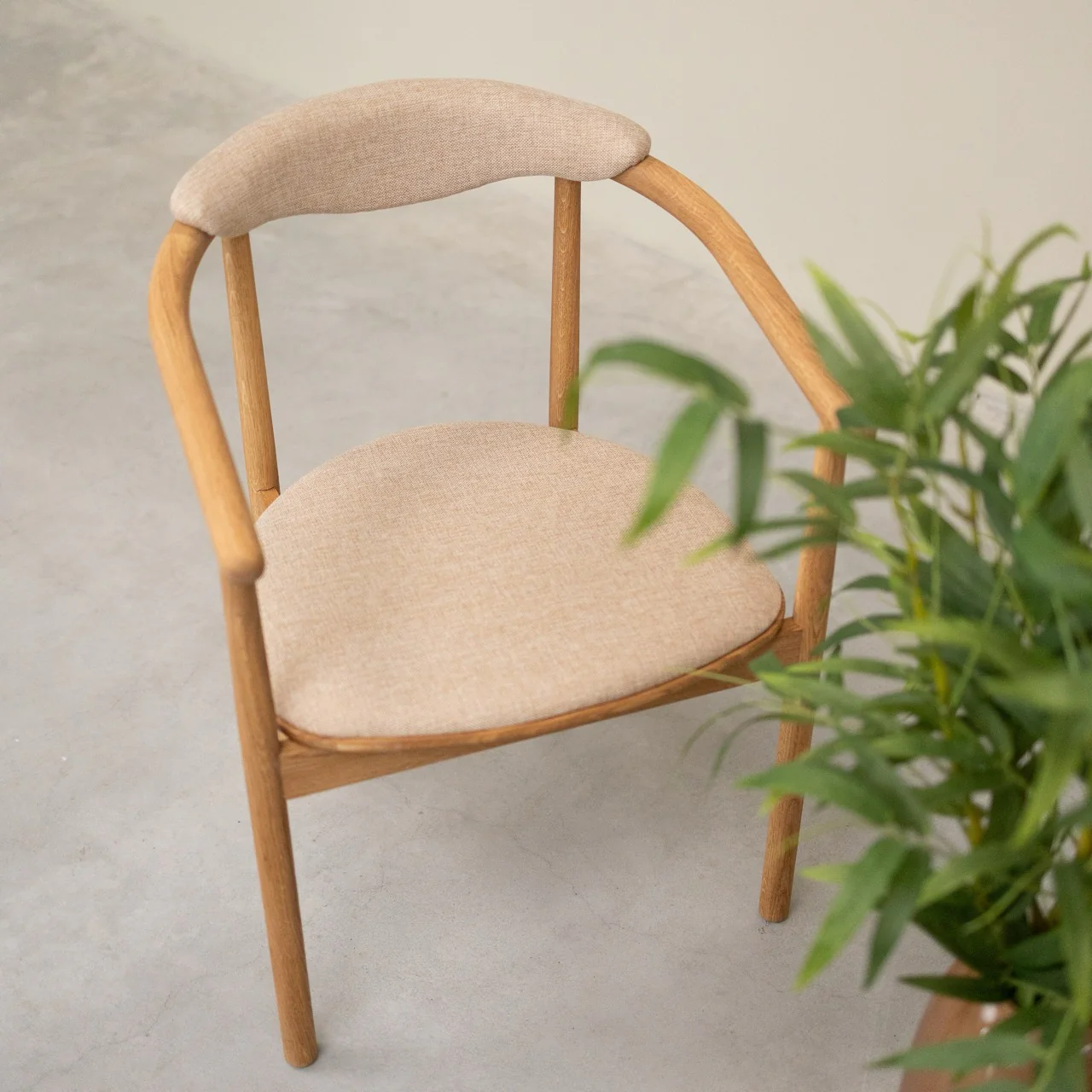 Chaise en bois massif de chêne Lord, revêtement - Lot de 2 ou 4 chaises - NordicStory - Image 16